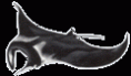 /album/fotogaleria/manta-gif/